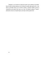 Referāts 'Uzņēmuma "Naidzels" klientu piesaistīšana ar reklāmas palīdzību', 16.