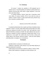 Referāts 'Uzņēmuma "Naidzels" klientu piesaistīšana ar reklāmas palīdzību', 19.