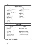 Referāts 'Uzņēmuma "Naidzels" klientu piesaistīšana ar reklāmas palīdzību', 24.