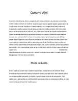 Referāts 'Dabas katastrofas', 6.