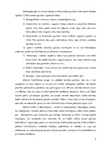 Eseja 'Kriminālistika', 3.