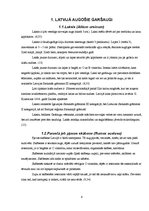 Referāts 'Latvijā augošie un audzētie garšaugi', 6.