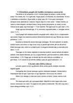 Referāts 'Latvijā augošie un audzētie garšaugi', 7.