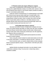 Referāts 'Latvijā augošie un audzētie garšaugi', 9.