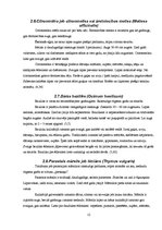 Referāts 'Latvijā augošie un audzētie garšaugi', 12.