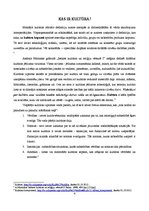 Referāts 'Kultūras resursu izmantošana uzņēmējdarbībā', 4.