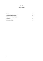 Referāts 'Psiholoģijas vēstures aspekti un virzieni', 2.