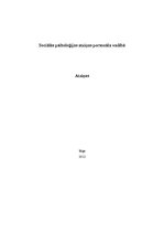 Referāts 'Sociālās psiholoģijas atziņas personāla vadībā', 1.