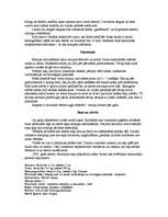 Konspekts 'Pelēkais ronis', 2.