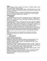 Referāts 'Konstitucinālās tiesības', 47.