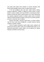 Diplomdarbs 'Zāģmateriālu kustības uzskaite kokapstrādes uzņēmumā', 7.