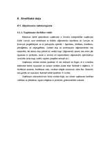 Diplomdarbs 'Zāģmateriālu kustības uzskaite kokapstrādes uzņēmumā', 8.