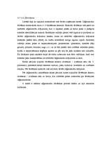 Diplomdarbs 'Zāģmateriālu kustības uzskaite kokapstrādes uzņēmumā', 14.