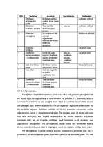 Diplomdarbs 'Zāģmateriālu kustības uzskaite kokapstrādes uzņēmumā', 16.