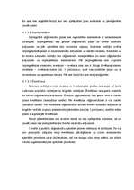 Diplomdarbs 'Zāģmateriālu kustības uzskaite kokapstrādes uzņēmumā', 17.