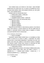 Diplomdarbs 'Zāģmateriālu kustības uzskaite kokapstrādes uzņēmumā', 21.