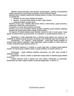 Referāts 'Konformitāte', 3.