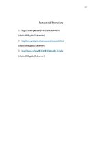 Referāts 'Polimēru bīstamība', 17.