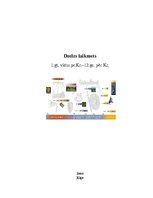 Referāts 'Dzelzs laikmets 1.g.t.vidus pirms Kristus - 12.gs. pēc Kristus', 1.