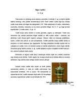 Referāts 'Dzelzs laikmets 1.g.t.vidus pirms Kristus - 12.gs. pēc Kristus', 14.