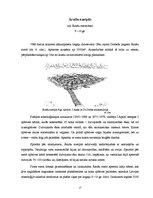 Referāts 'Dzelzs laikmets 1.g.t.vidus pirms Kristus - 12.gs. pēc Kristus', 17.