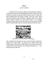 Referāts 'Dzelzs laikmets 1.g.t.vidus pirms Kristus - 12.gs. pēc Kristus', 19.