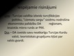 Prezentācija 'Kurdu neatkarības kustība Turcijā', 9.
