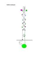 Konspekts 'Stafete sporta nodarbībai', 3.