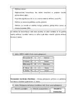 Diplomdarbs 'Sporta pakalpojumu mazbudžeta virzīšanas iespējas Latvijā', 28.