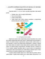 Diplomdarbs 'Adaptīvās kruīza vadības sistēmas', 10.