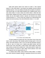Diplomdarbs 'Adaptīvās kruīza vadības sistēmas', 13.