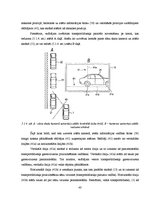 Diplomdarbs 'Adaptīvās kruīza vadības sistēmas', 43.