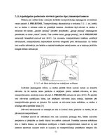Diplomdarbs 'Adaptīvās kruīza vadības sistēmas', 51.
