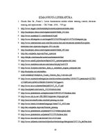 Diplomdarbs 'Adaptīvās kruīza vadības sistēmas', 68.