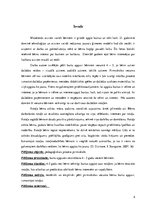 Prakses atskaite 'Burtu apguves veicināšana 4 - 5 gadu vecumā', 4.