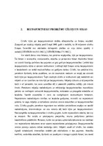 Referāts 'Sociālais darbs ar bezpajumtniekiem', 7.