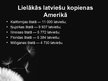 Prezentācija 'Latviešu kultūra emigrācijā', 6.