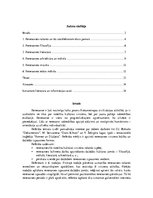 Referāts 'Ieskats renesanses kultūrā', 2.