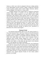 Referāts 'Ieskats renesanses kultūrā', 4.