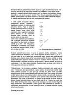 Referāts 'Lēmumu pieņemšanas metodes mārketingā', 3.