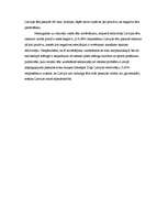 Eseja 'Latvijas tēls un tā izplatīšanas mediji globalizācijas laikmetā', 3.