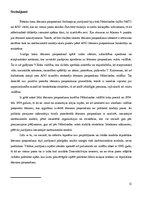Referāts 'Nīderlandes Karalistes lēmumu pieņemšanas analīze Srebreņicas notikumos 1995.gad', 11.