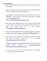 Referāts 'Nīderlandes Karalistes lēmumu pieņemšanas analīze Srebreņicas notikumos 1995.gad', 12.