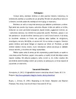 Eseja 'Reklāmas tēlu reprezentācija antireklāmās: Pepsi vs. Coca-Cola, Samsung vs. iPho', 6.