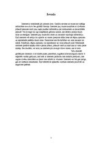 Referāts 'Internets cilvēku dzīvē', 3.