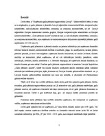 Diplomdarbs 'Uzņēmuma gada pārskata sagatavošana Latvijā', 5.