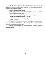 Diplomdarbs 'Uzņēmuma gada pārskata sagatavošana Latvijā', 6.