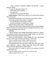 Diplomdarbs 'Uzņēmuma gada pārskata sagatavošana Latvijā', 19.