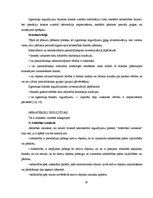 Diplomdarbs 'Uzņēmuma gada pārskata sagatavošana Latvijā', 20.