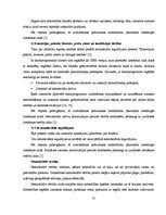 Diplomdarbs 'Uzņēmuma gada pārskata sagatavošana Latvijā', 21.